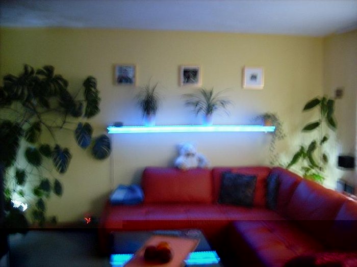 DSCI0019 regal.JPG (48.53 KiB) 11418 mal betrachtet DSCI0019 regal.JPG