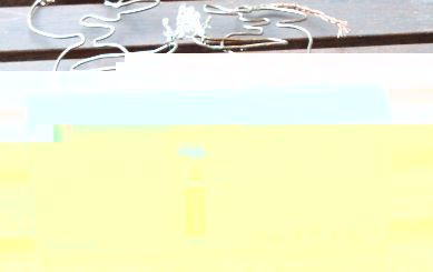 455_P1010201_kl_1.jpg