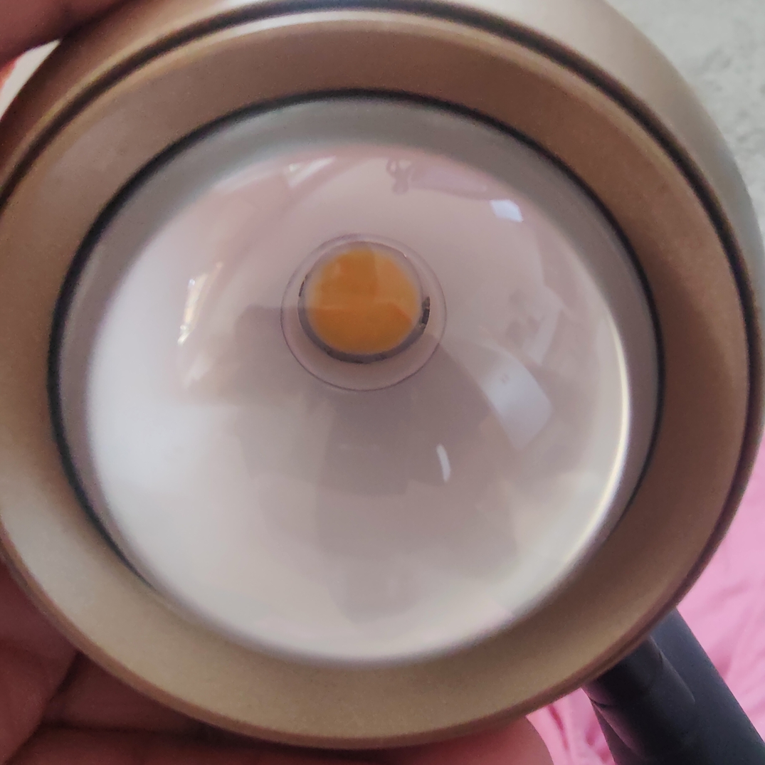 1000093136 (2) (1).jpg